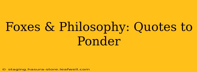 Foxes & Philosophy: Quotes to Ponder