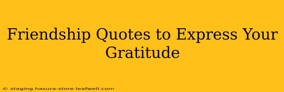Friendship Quotes to Express Your Gratitude