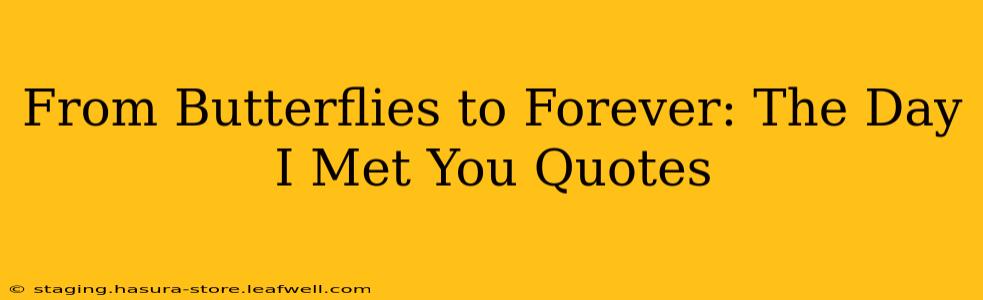 From Butterflies to Forever: The Day I Met You Quotes