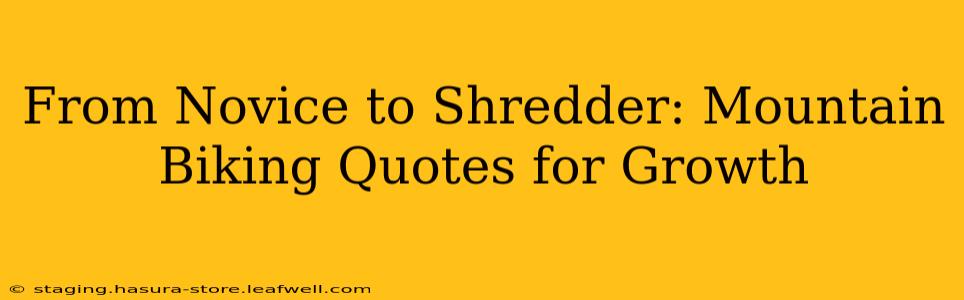 From Novice to Shredder: Mountain Biking Quotes for Growth