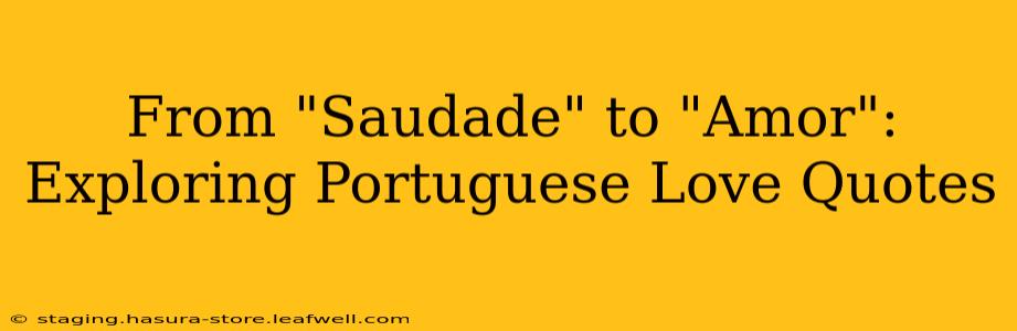 From "Saudade" to "Amor": Exploring Portuguese Love Quotes