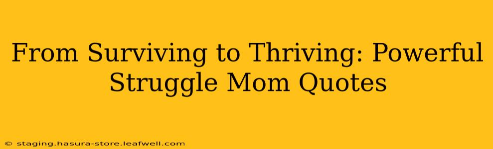 From Surviving to Thriving: Powerful Struggle Mom Quotes