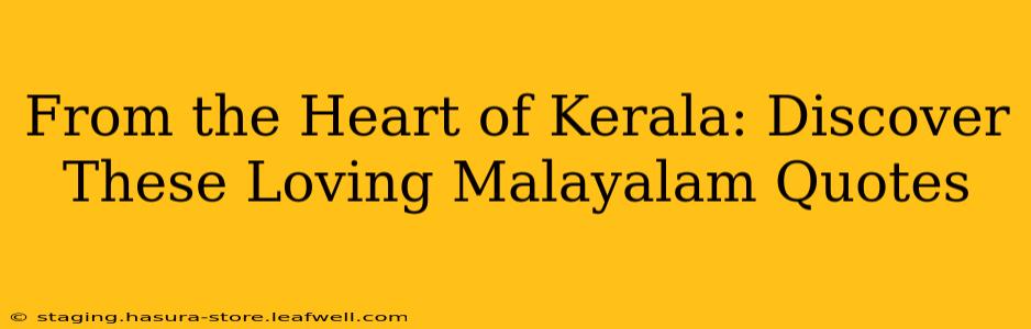 From the Heart of Kerala: Discover These Loving Malayalam Quotes