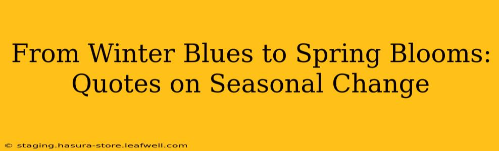 From Winter Blues to Spring Blooms: Quotes on Seasonal Change