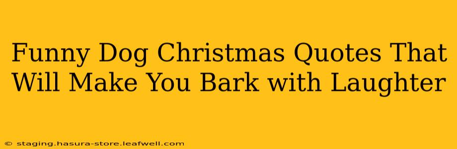 Funny Dog Christmas Quotes That Will Make You Bark with Laughter