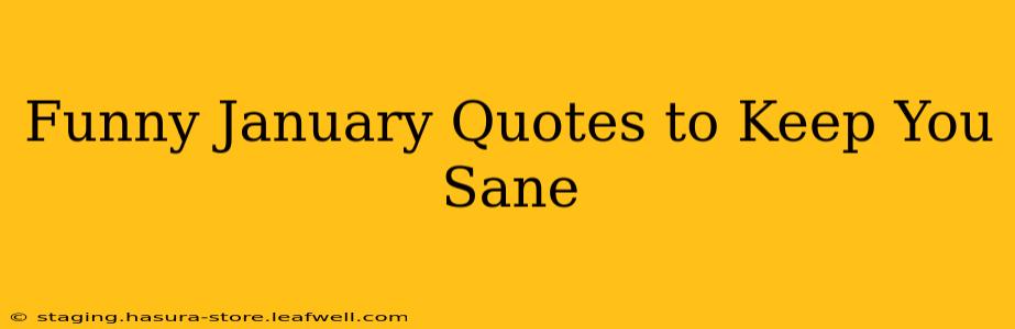 Funny January Quotes to Keep You Sane