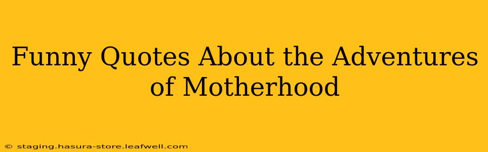Funny Quotes About the Adventures of Motherhood