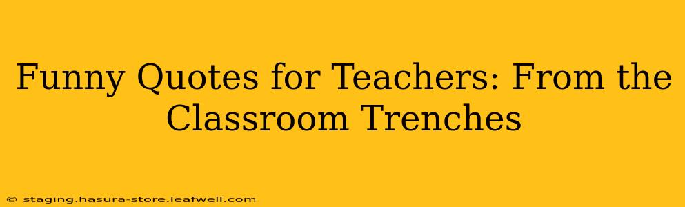 Funny Quotes for Teachers: From the Classroom Trenches