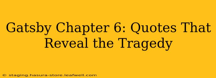 Gatsby Chapter 6: Quotes That Reveal the Tragedy