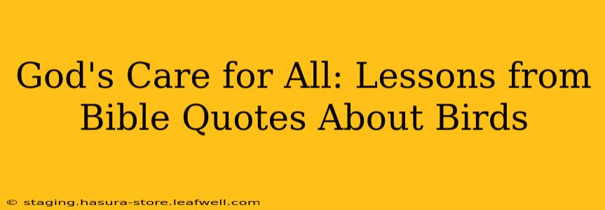God's Care for All: Lessons from Bible Quotes About Birds