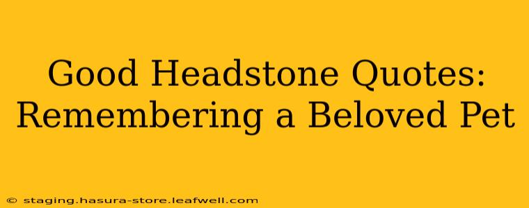 Good Headstone Quotes: Remembering a Beloved Pet