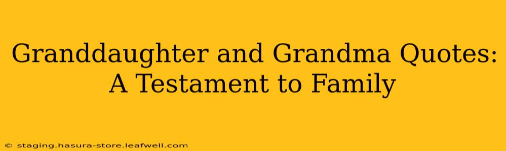 Granddaughter and Grandma Quotes: A Testament to Family