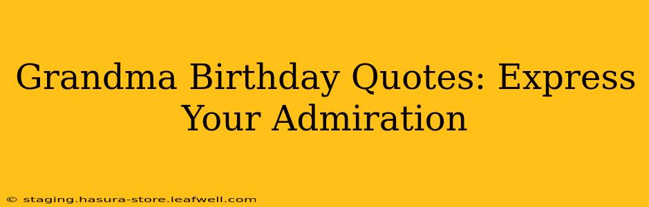 Grandma Birthday Quotes: Express Your Admiration