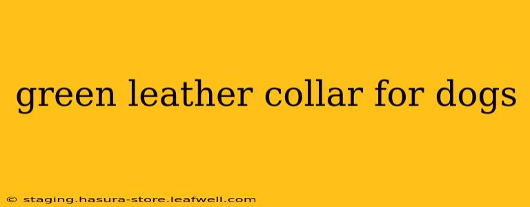green leather collar for dogs