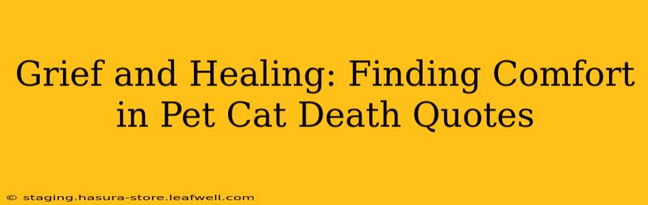Grief and Healing: Finding Comfort in Pet Cat Death Quotes