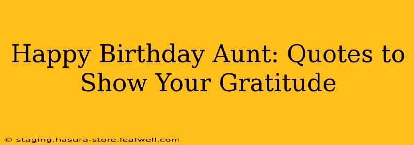 Happy Birthday Aunt: Quotes to Show Your Gratitude