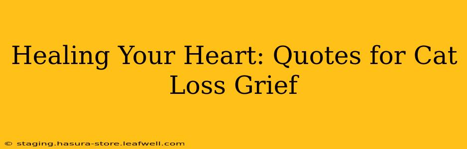 Healing Your Heart: Quotes for Cat Loss Grief