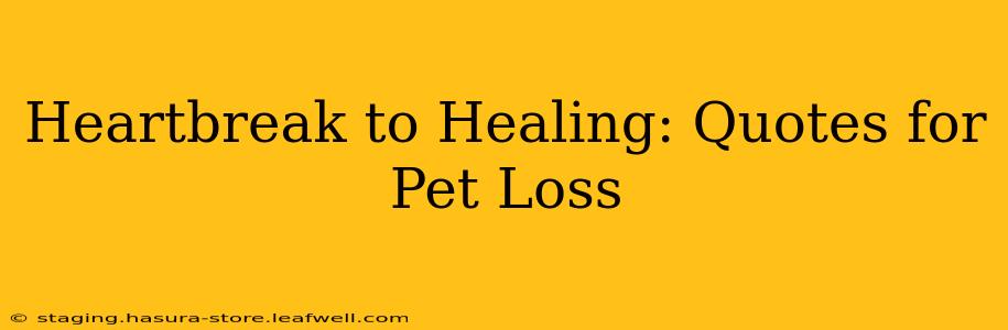 Heartbreak to Healing: Quotes for Pet Loss