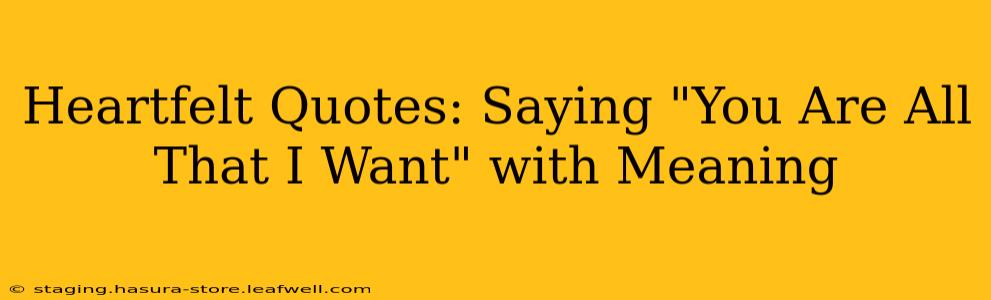 Heartfelt Quotes: Saying "You Are All That I Want" with Meaning