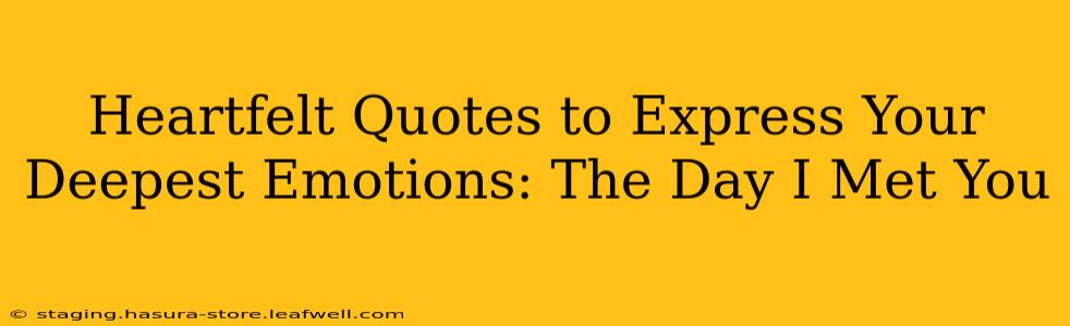 Heartfelt Quotes to Express Your Deepest Emotions: The Day I Met You
