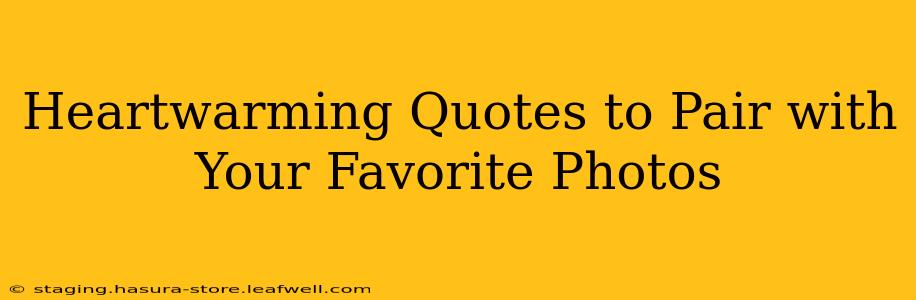 Heartwarming Quotes to Pair with Your Favorite Photos