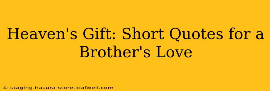 Heaven's Gift: Short Quotes for a Brother's Love
