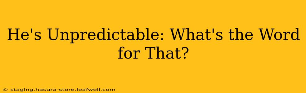 He's Unpredictable: What's the Word for That?
