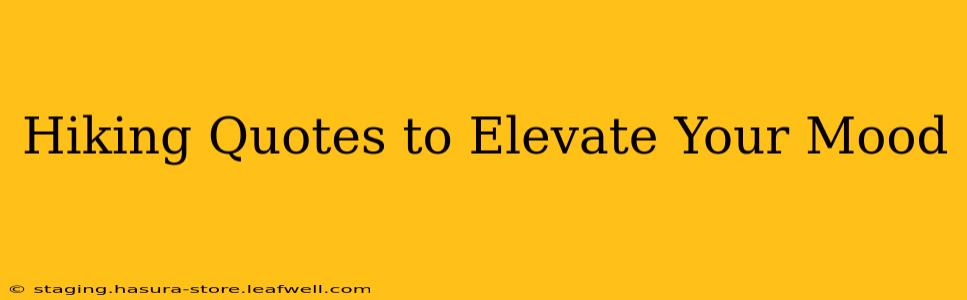 Hiking Quotes to Elevate Your Mood