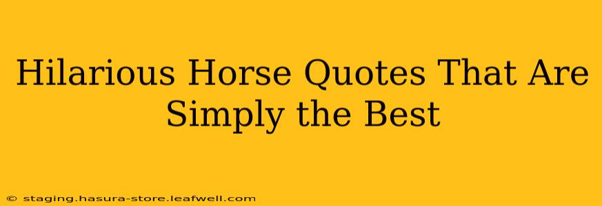 Hilarious Horse Quotes That Are Simply the Best