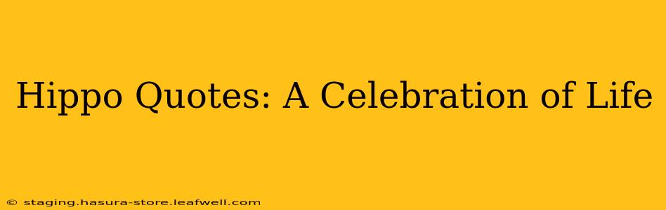 Hippo Quotes: A Celebration of Life