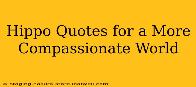 Hippo Quotes for a More Compassionate World