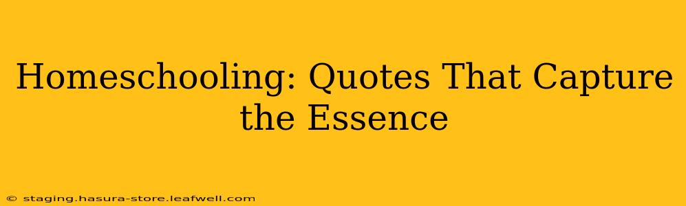 Homeschooling: Quotes That Capture the Essence