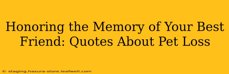 Honoring the Memory of Your Best Friend: Quotes About Pet Loss