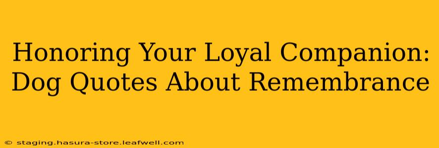 Honoring Your Loyal Companion: Dog Quotes About Remembrance