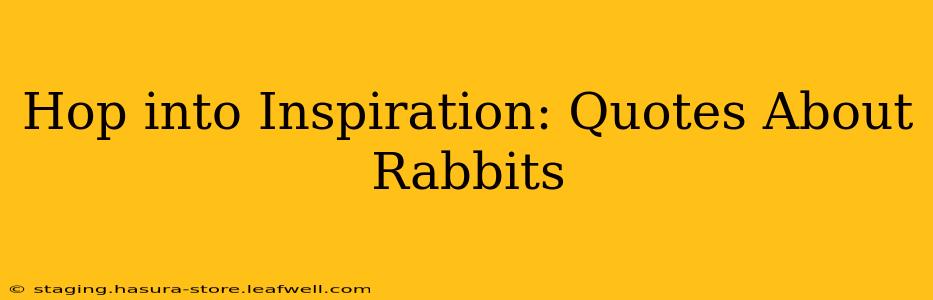 Hop into Inspiration: Quotes About Rabbits