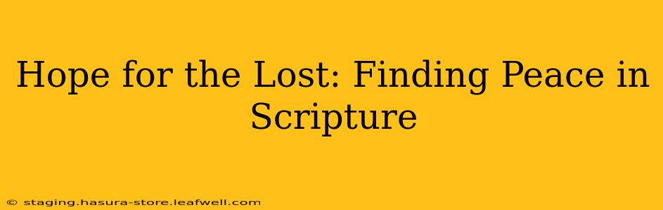 Hope for the Lost: Finding Peace in Scripture