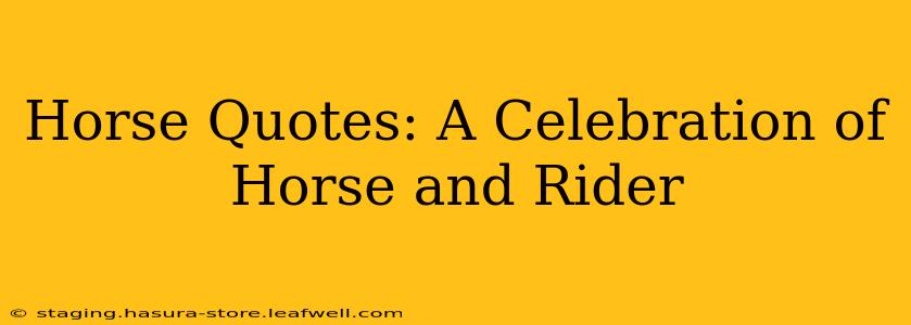 Horse Quotes: A Celebration of Horse and Rider