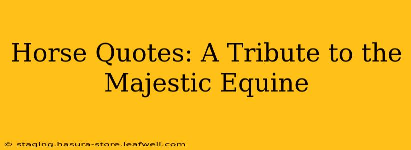 Horse Quotes: A Tribute to the Majestic Equine