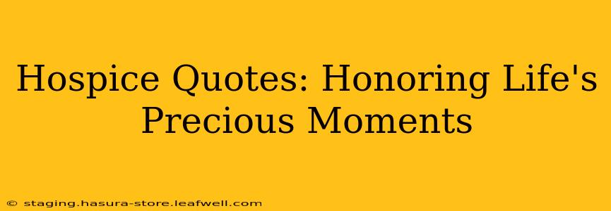 Hospice Quotes: Honoring Life's Precious Moments