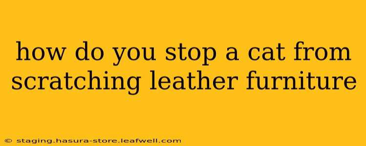 how do you stop a cat from scratching leather furniture