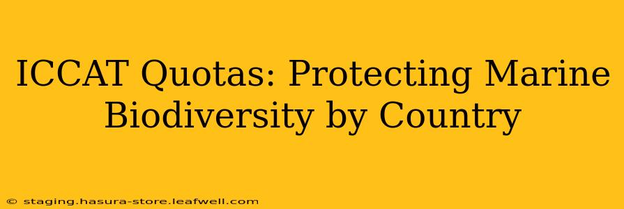 ICCAT Quotas: Protecting Marine Biodiversity by Country