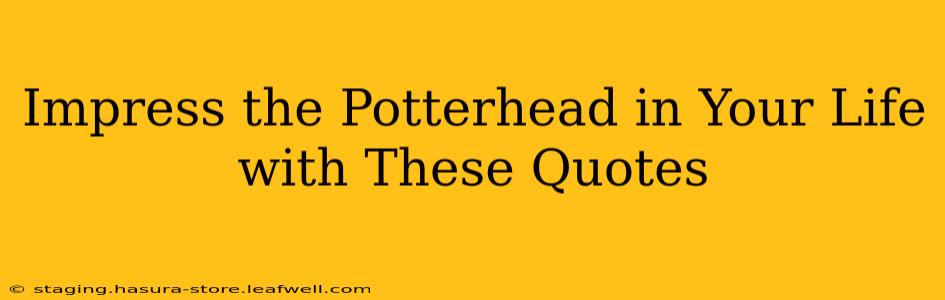 Impress the Potterhead in Your Life with These Quotes