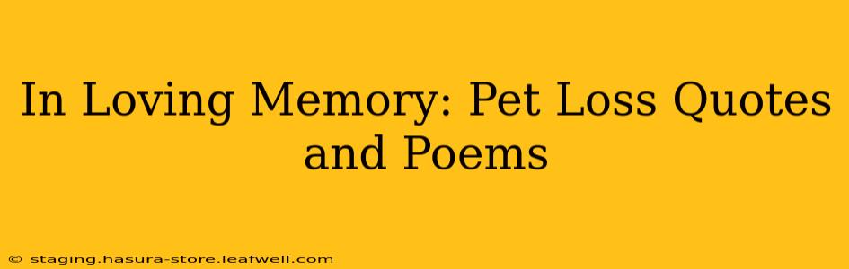 In Loving Memory: Pet Loss Quotes and Poems
