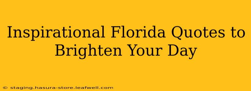 Inspirational Florida Quotes to Brighten Your Day