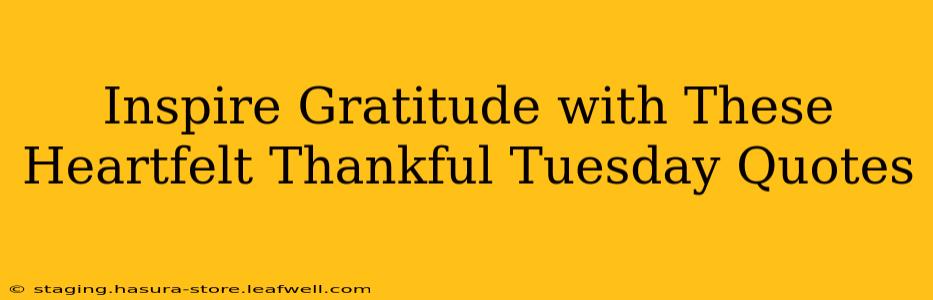 Inspire Gratitude with These Heartfelt Thankful Tuesday Quotes