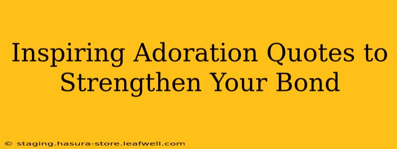 Inspiring Adoration Quotes to Strengthen Your Bond