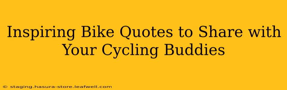 Inspiring Bike Quotes to Share with Your Cycling Buddies