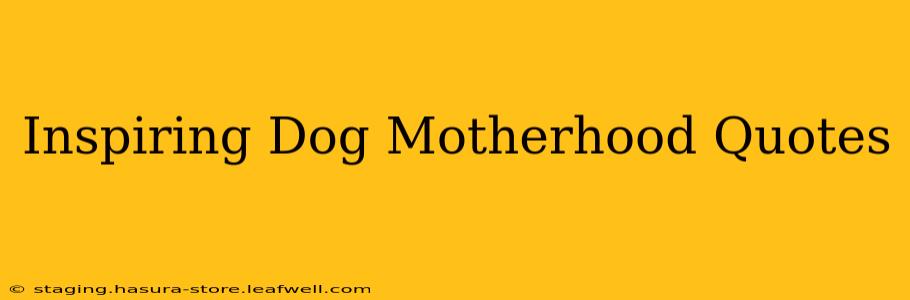 Inspiring Dog Motherhood Quotes