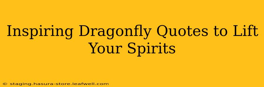 Inspiring Dragonfly Quotes to Lift Your Spirits