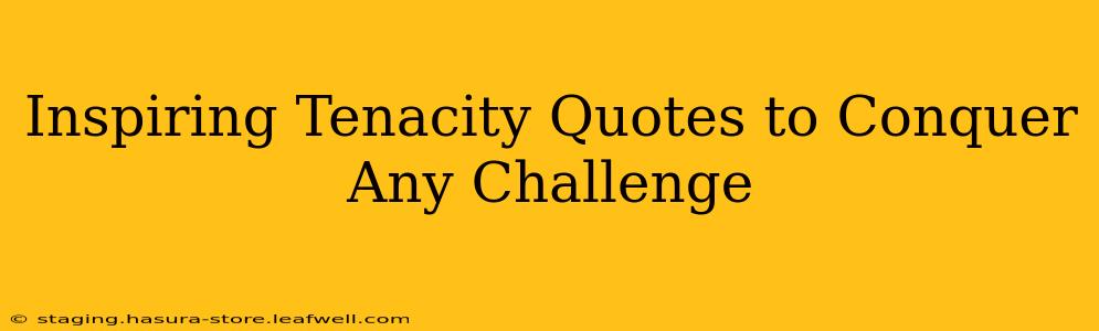 Inspiring Tenacity Quotes to Conquer Any Challenge
